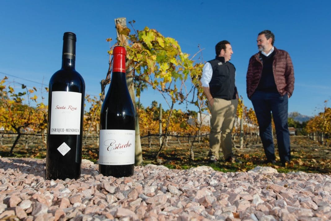 premio bodegas enrique mendoza