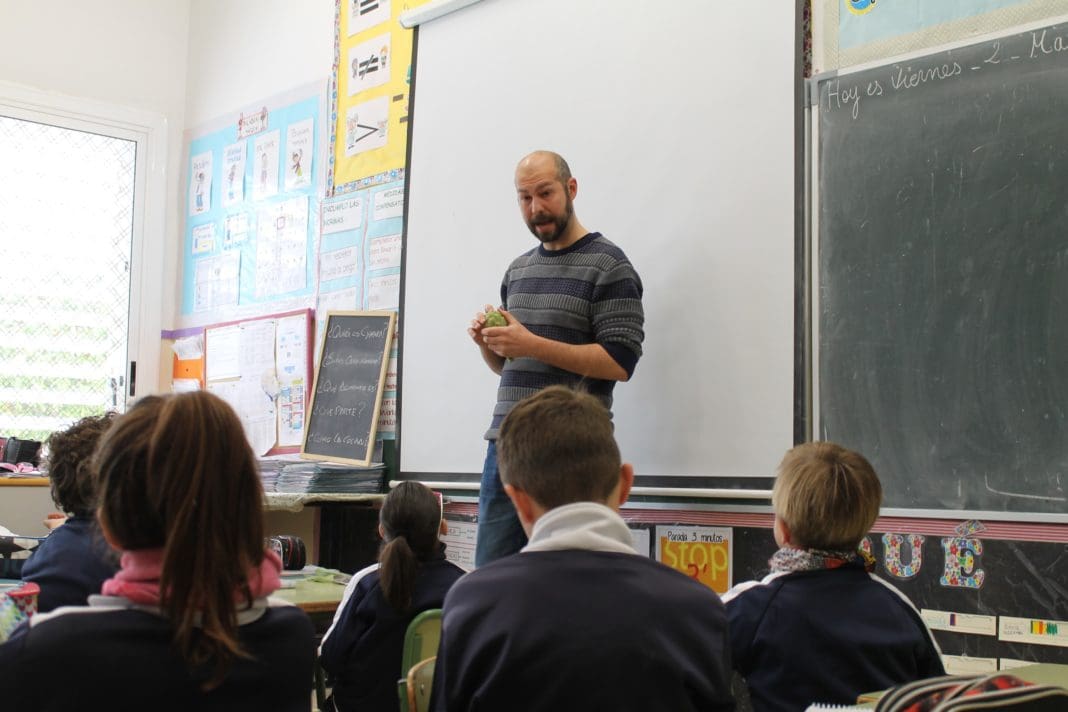 talleres didácticos