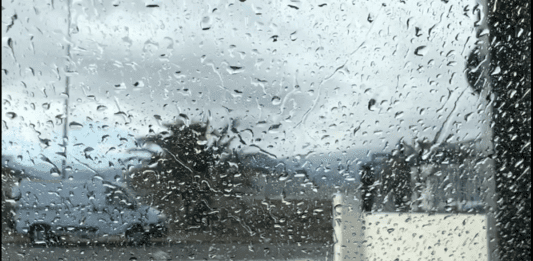 alerta Diario de Alicante