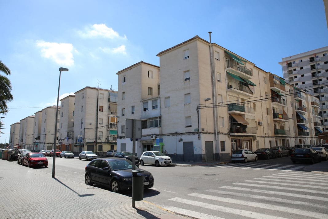 San Antón Diario de Alicante