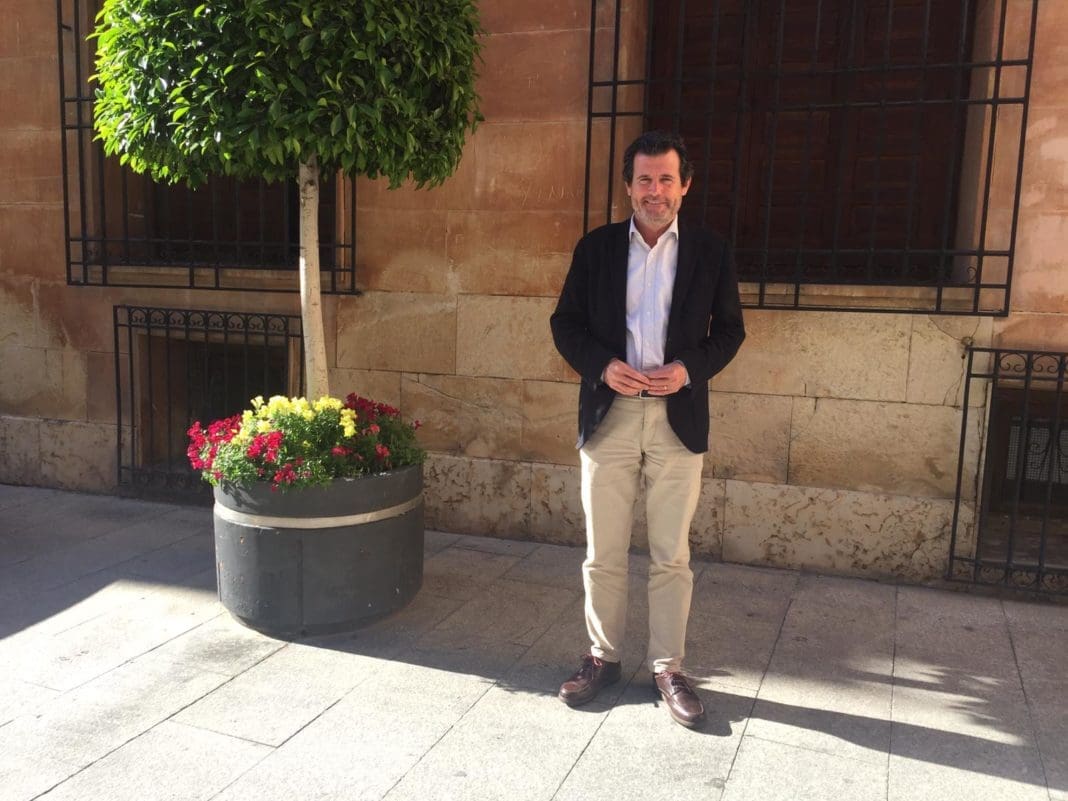 José Císcar posando junto a un bonito árbol / PP Alicante