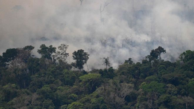 Incendio en el Amazonas / AFP