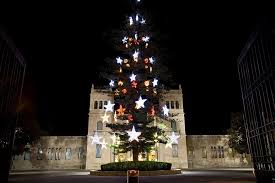 Imagen de archivo del árbol de Navidad en el MARQ / Paco Cameo