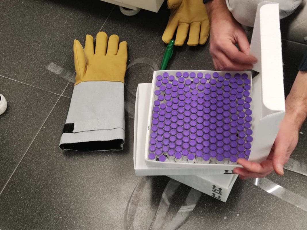 segunda jornada vacunas