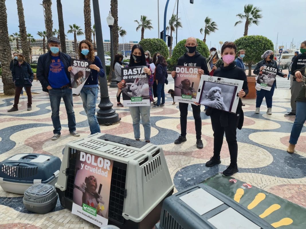 Concentración en Alicante contra el laboratorio Vivotecnia