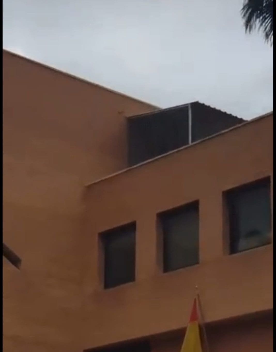 Secadero marihuana en Comisaría Norte de Alicante (Captura Tik Tok)