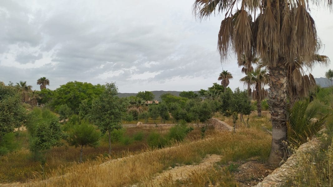 Paraje natural El Campello