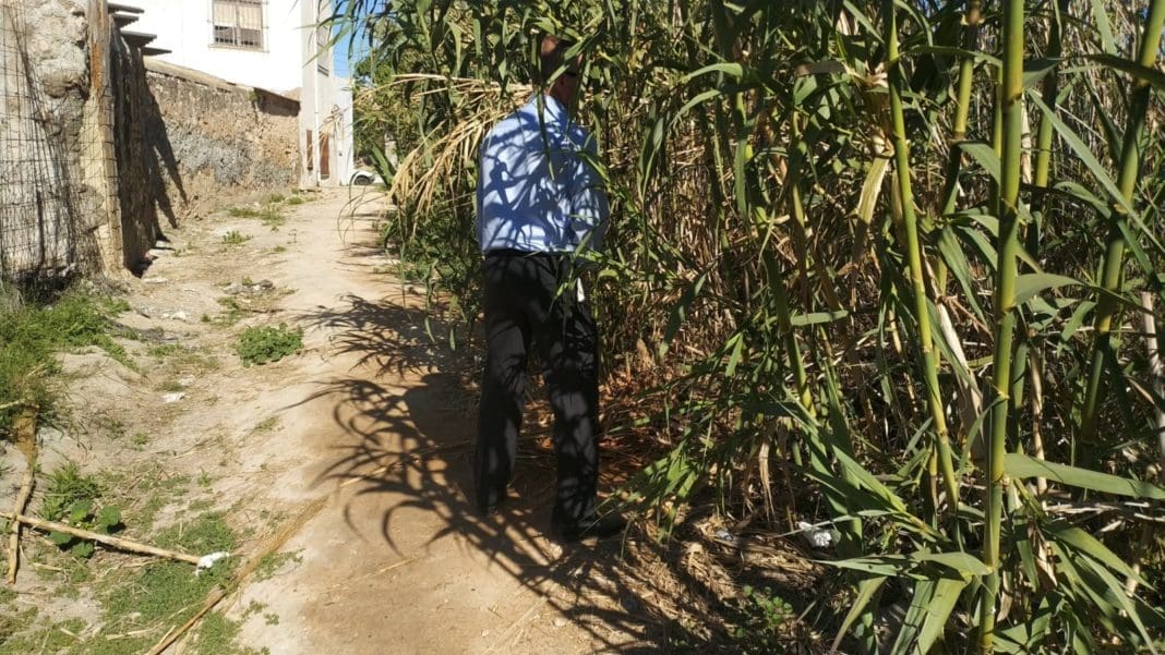 Imagen de un conductor de autobús orinando en un matorral en Mutxamel (porque no tiene aseo al que pueda ir)