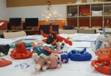 El 97% del alumnado de 3 años logra plaza en sus centros preferidos en Alicante