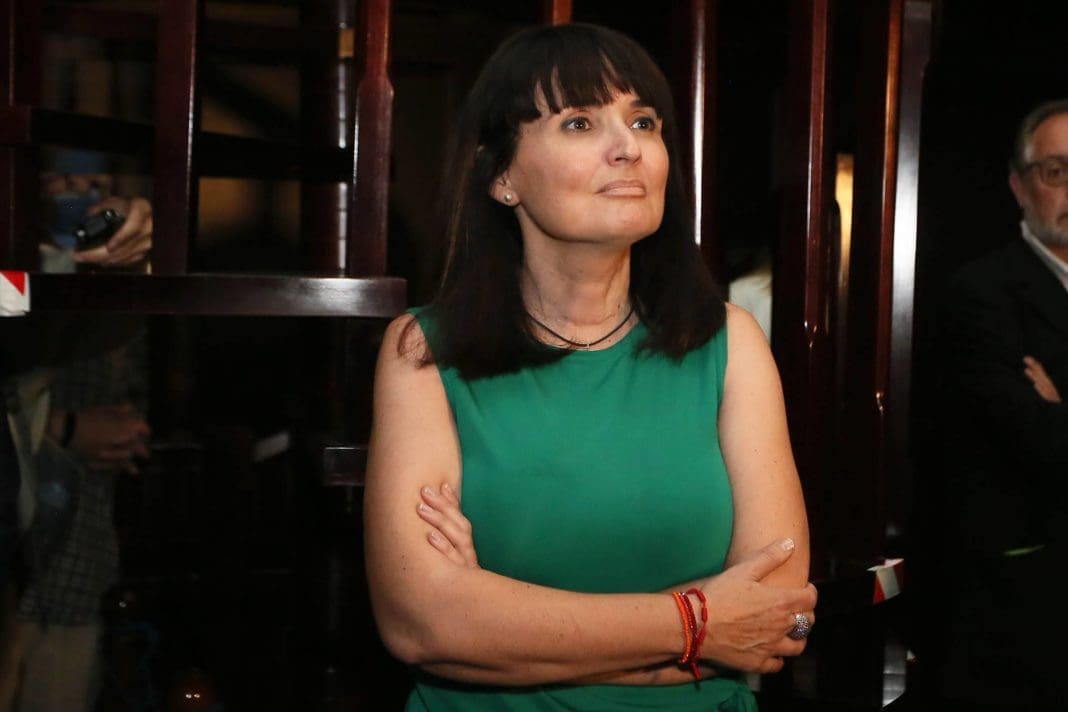 Julia Parra, Diputada de Cultura