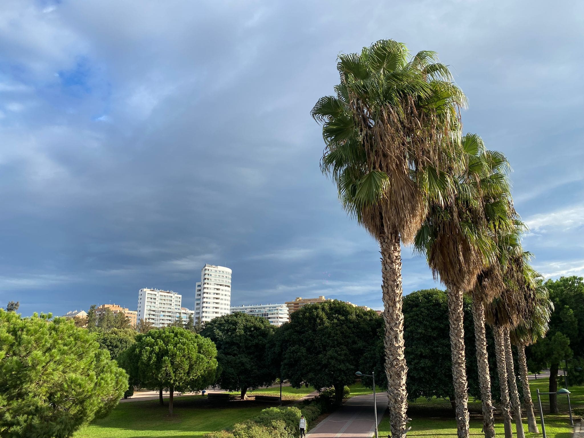 Pronósticos y actualizaciones del tiempo en Alicante Diario de Alicante