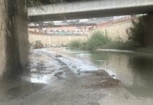La CHS prevé invertir 1,7 millones en conservar los cauces de Alicante durante el próximo año hidrológico