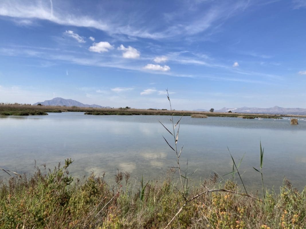 El Hondo-Finca La Raja