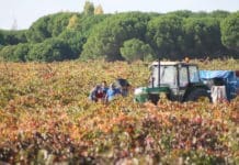 Arranca el plazo para solicitar la PAC 2026 y actualizar los datos agrarios en la Comunitat Valenciana Ayudas PAC 2026