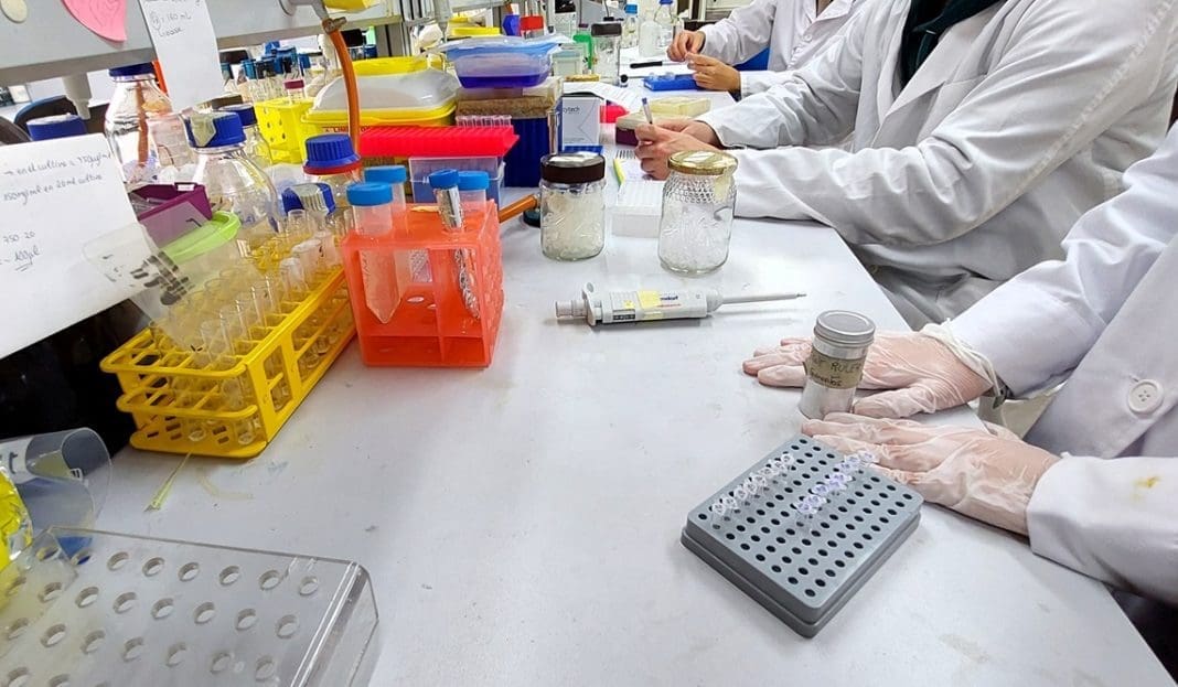 La Generalitat invierte cerca de 860.000 euros para modernizar los laboratorios de los ciclos formativos de Sanidad