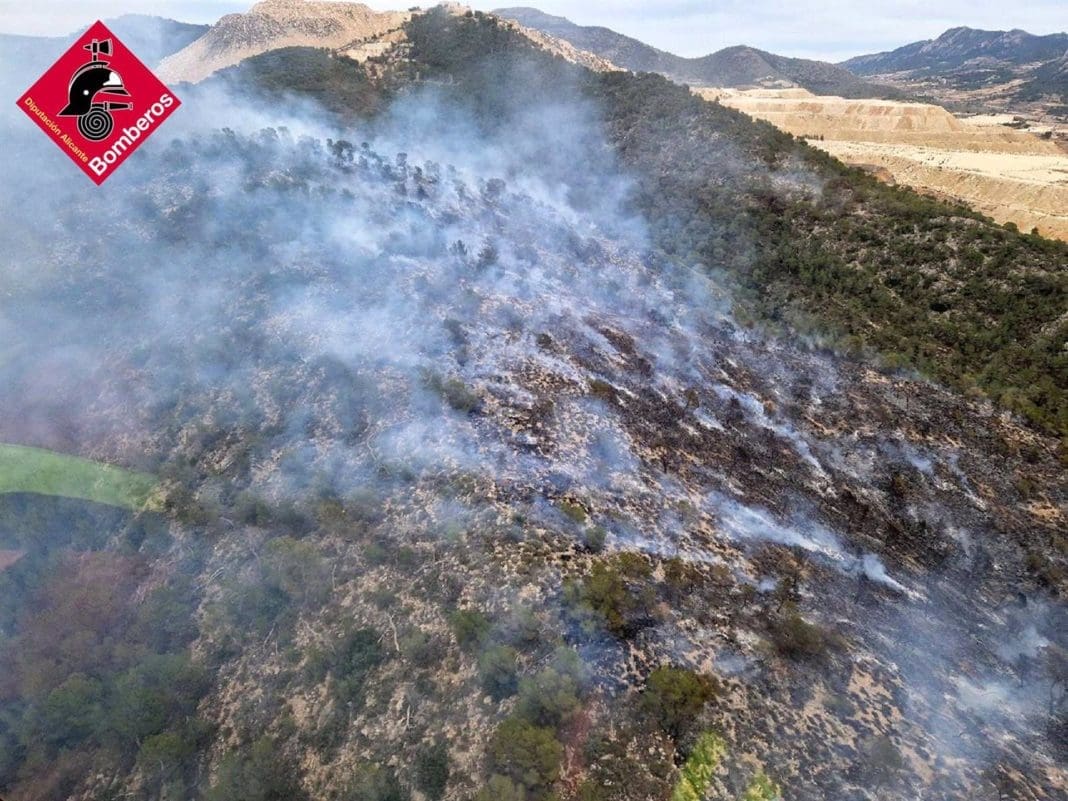 Ayudas PIFVOL 2026: 450.000 euros para voluntariado ambiental contra incendios forestales en la Comunitat Valenciana