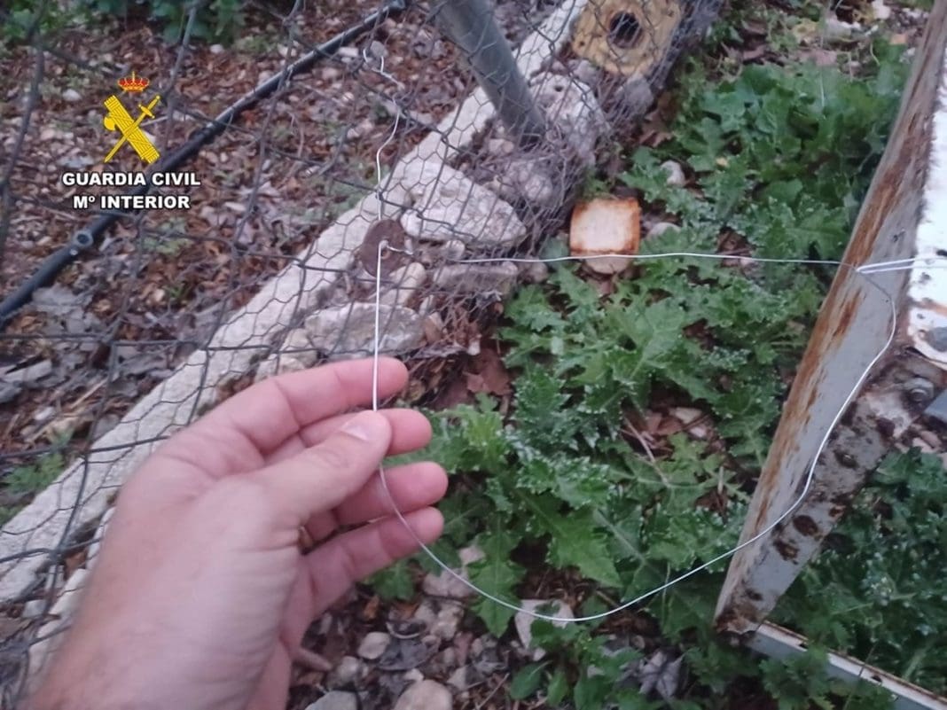 26/04/2025 Expedientado por colocar lazos de caza ilegales, que atraparon a un perro en un paseo en Beneixama. Agentes de la Guardia Civil han instruido un expediente sancionador contra un varón español de 70 años por la presunta colocación de lazos de caza ilegales en el exterior de una parcela rústica vallada, en una zona cinegética de la localidad de Beneixama (Alicante). POLITICA GUARDIA CIVIL