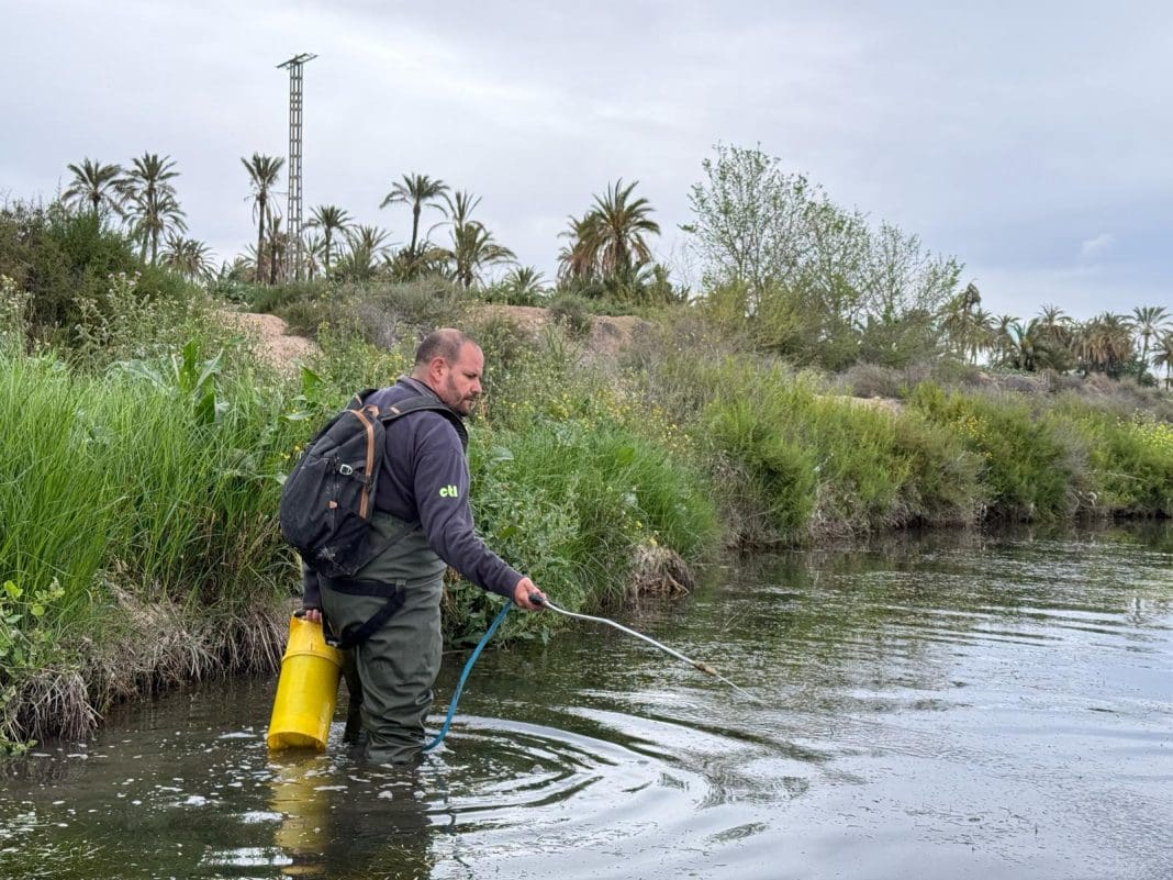 mosquitos en elche fumigación (2)