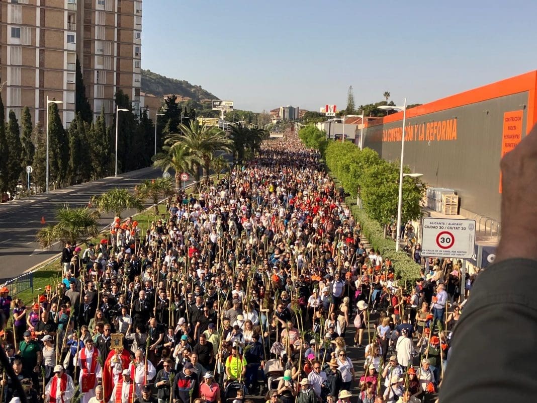 Romería de la Santa Faz de Alicante. 2025