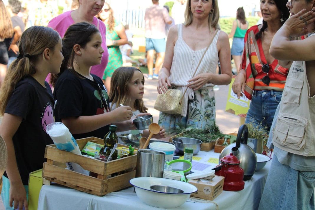 semilla circular fest