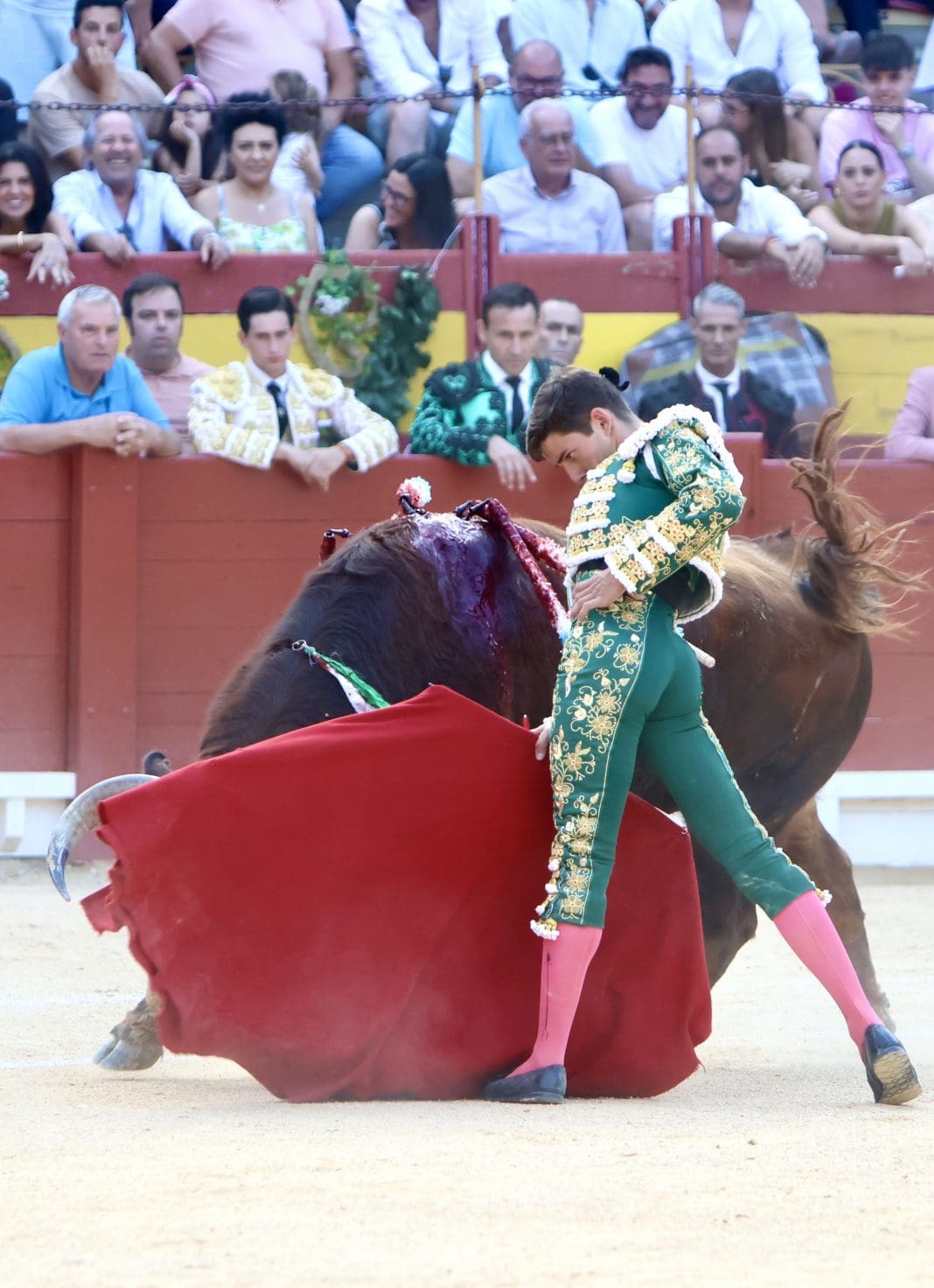 Feria de Hogueras 2026 en Alicante: entradas sueltas a la venta esta noche con carteles de gran expectación