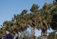 Alicante cerrará parques y jardines el martes y miércoles por alerta amarilla por vientos