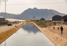 La CHS aprueba un desembalse de 255 hm³ y endurece las restricciones al regadío hasta marzo de 2026