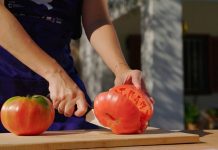 Dénia celebra el sábado sus 10 años como Ciudad Creativa de la Gastronomía por la UNESCO