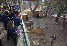 Alcoy suspende el tradicional Campamento Real en el Preventorio por la previsión de lluvia