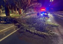 Más de 150 intervenciones por las fuertes rachas de viento en Alicante