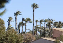 aviso amarillo viento