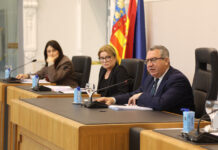 La Diputación de Alicante aprueba una moción conjunta por el 8M con el rechazo de Vox