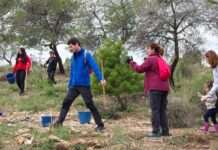 La reforestación en el Monte Orgegia reúne a 1.000 voluntarios y planta más de un millar de ejemplares