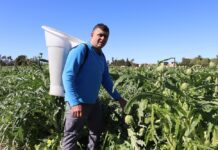 ASAJA Elche reconoce a Andrés Soto como Agricultor del Año 2025 del Camp d’Elx