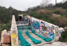 Elche inicia la limpieza y adecuación del sendero sur del Vinalopó para facilitar el paso de peatones y ciclistas