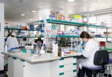 ISABIAL, la UA y la UMH financian nueve redes de investigación sanitaria en la provincia de Alicante