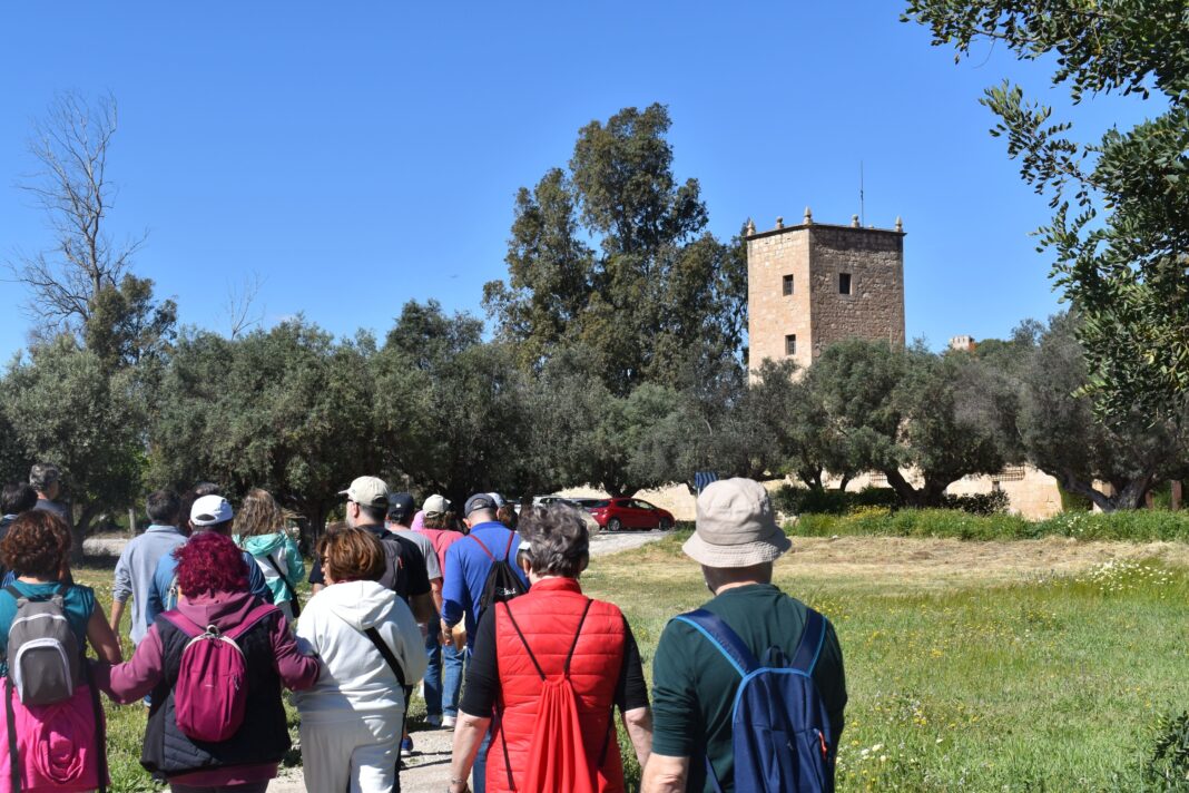 Parque agrario Alicante