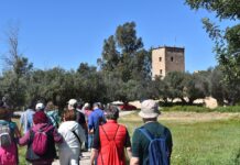 Parque agrario Alicante