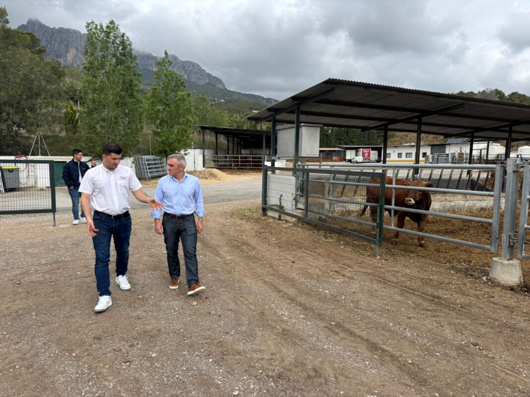 agricultura y ganadería