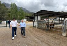 agricultura y ganadería