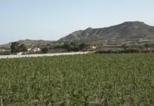 Vecinos participan en una protesta contra dos macroplantas solares en defensa de 340 hectáreas de campo