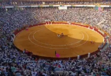 Morante de la Puebla, Israel Guirao y dos toros comparten los premios de la Feria Taurina de Hogueras 2026