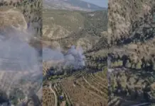 Un incendio originado en un poste eléctrico se propaga a la vegetación en Cocentaina