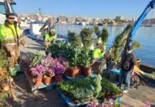 Alicante relanza por 44,7 millones el contrato de zonas verdes tras corregir los costes salariales