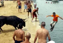 Joven frente a una vaquilla en los tradicionales “Bous a la mar” en Denia (Alicante)
