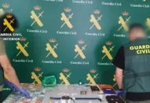 Cae en Torrevieja una red que fabricaba y vendía ‘tusi’ en zonas de ocio Agentes de la Guardia Civil tras localizar laboratorios clandestinos para fabricar y vender ‘tusi’ en Torrevieja.