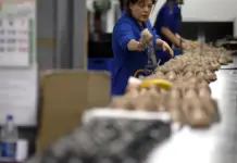 Trabajadora en una empresa de fabricación de calzado