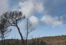 Hidroavión sobrevolando una zona quemada tras un incendio en Segorbe