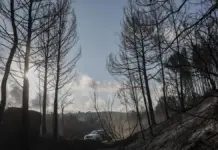 Controlado el incendio de Segorbe tras arrasar 630 hectáreas del parque natural Vehículo de brigadas forestales circulando por una zona quemada tras un incendio en Segorbe, Castellón