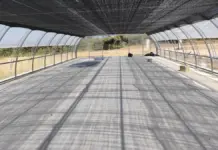 La modernización del vivero de La Yesa refuerza la producción de planta autóctona para reforestación Nave nueva en el vivero de La Yesa, en Valencia